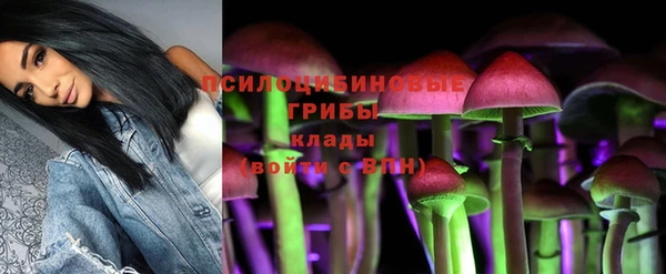 герыч Бронницы