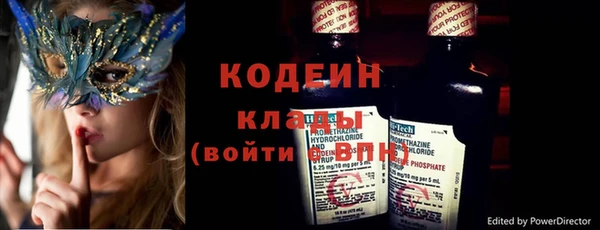спиды Вяземский