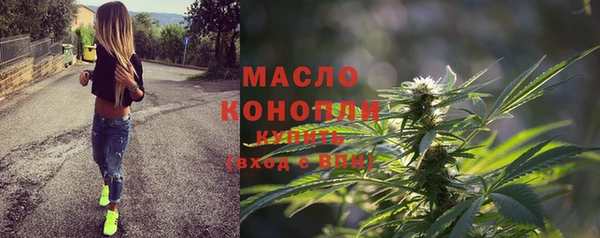 спиды Вяземский