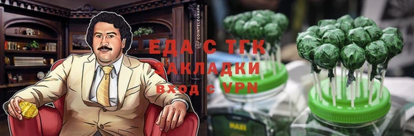 спиды Вяземский