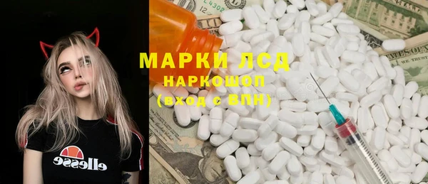 спиды Вяземский